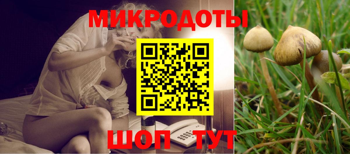 магазин продажи наркотиков  Псилоцибиновые грибы ЛСД  Вход с VPN  Чехов 