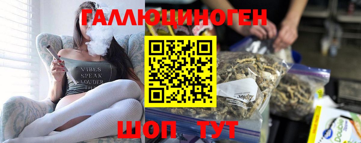 Псилоцибиновые грибы Cubensis Чехов